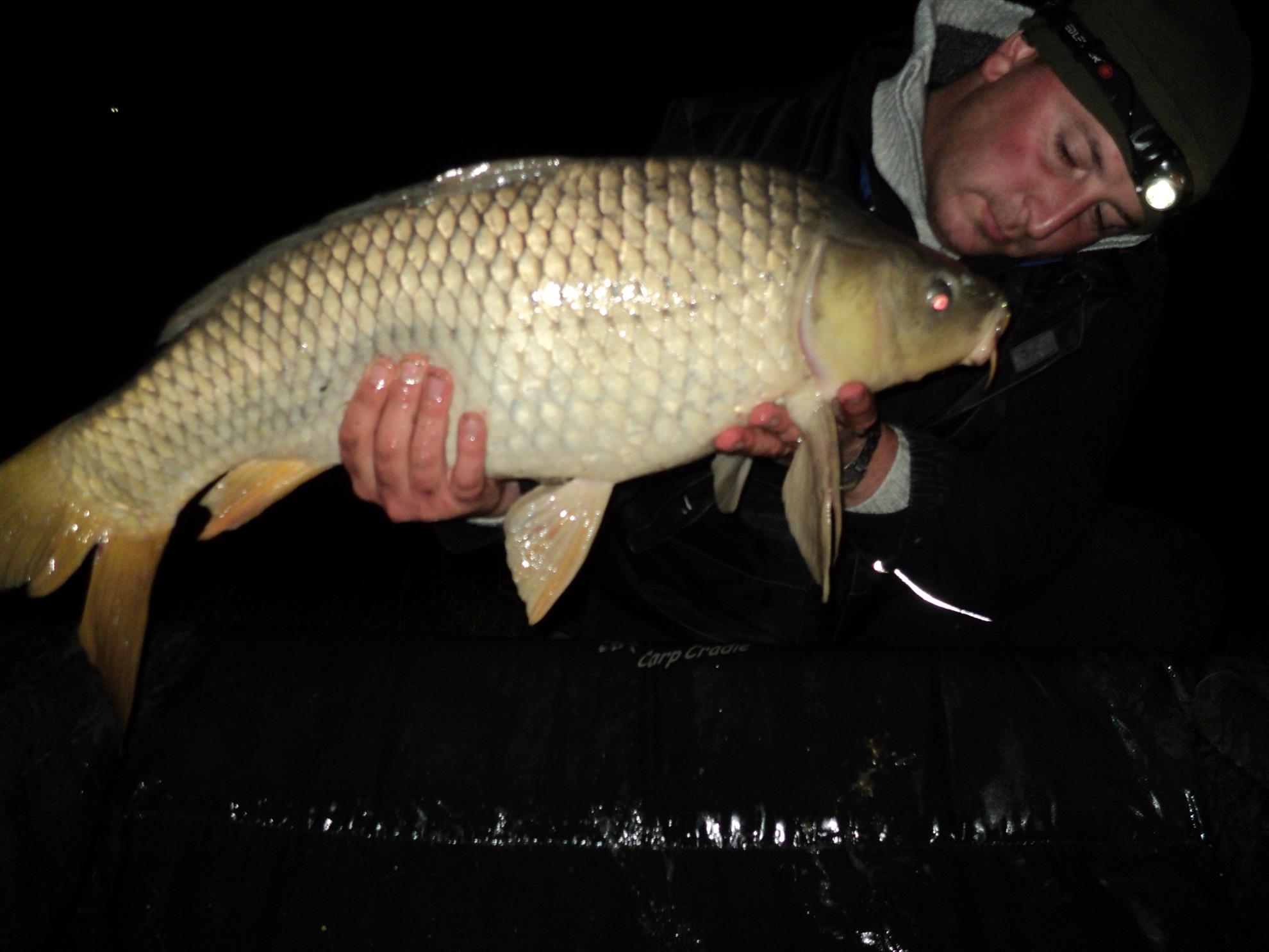 pescuit MOARA VLASIEI - dsc02699.JPG